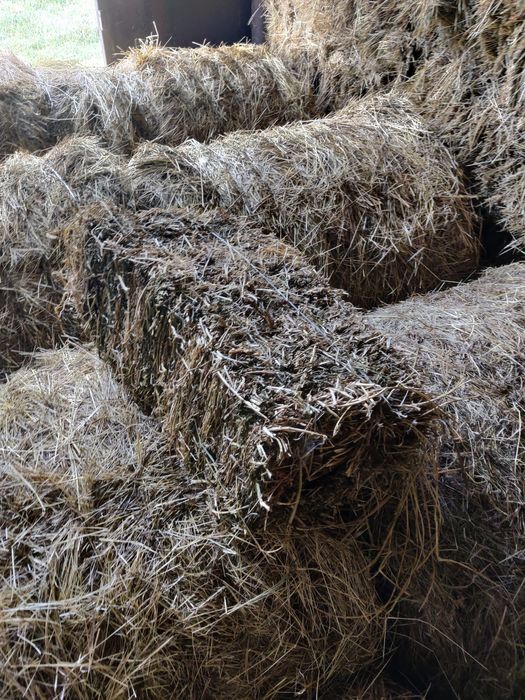 Сіно солома тюки
