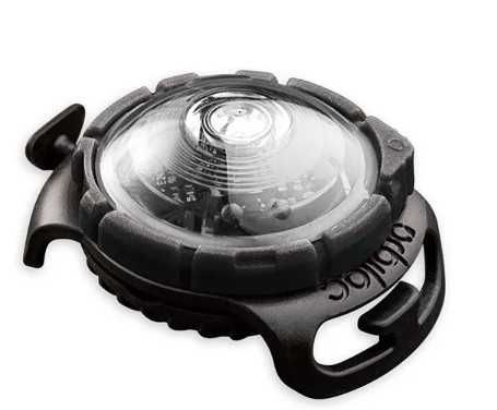 Lampka LED Orbiloc na obrożę Orbiloc White – nowy