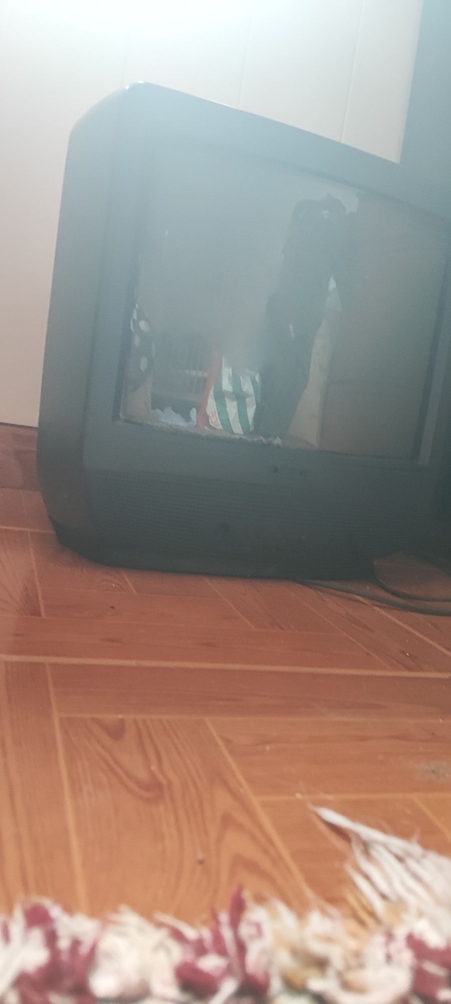 Televisão em bom estado
