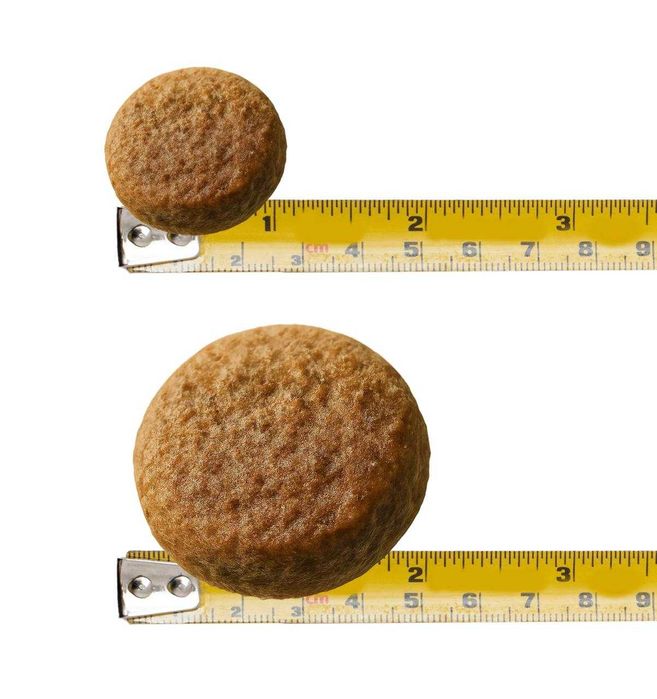 Гіпоалергенний преміальний корм для собак з рибою від STARDEYL!