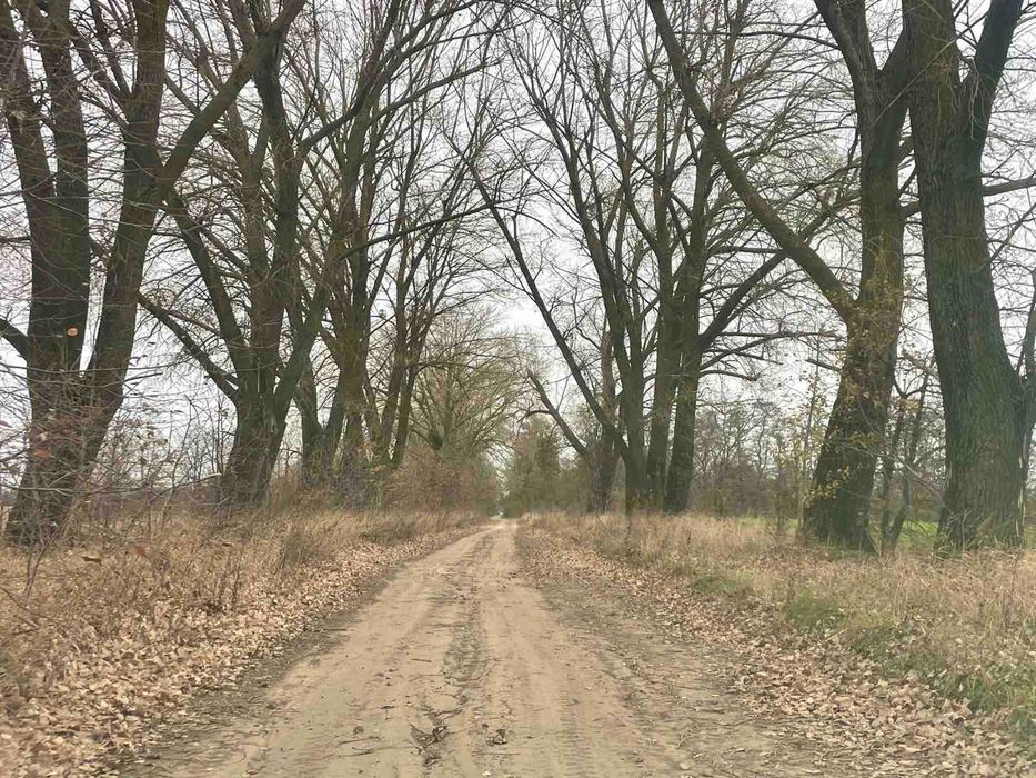 Продається земельна ділянка в с. Іванівка 7811