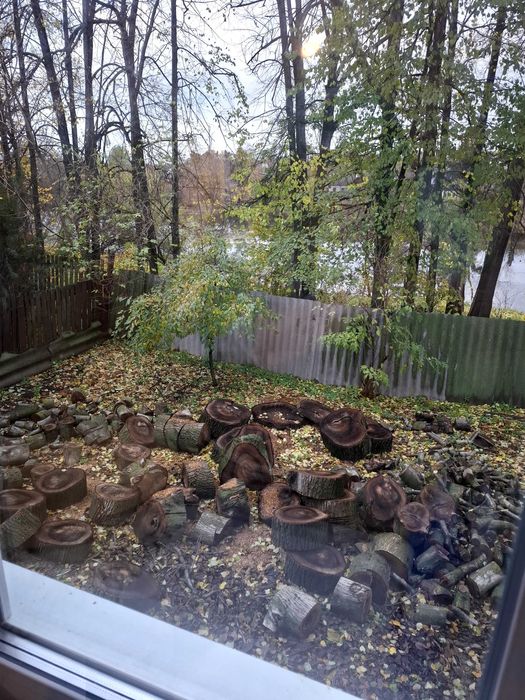 Продам дрова із горіха 3 тис. Торг. Самовивіз