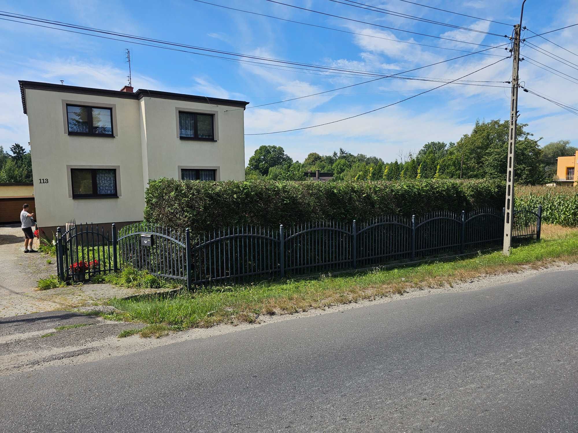 Skracanie i przycinanie thui, żywopłotów, wycinka drzew, wywóz zieleni