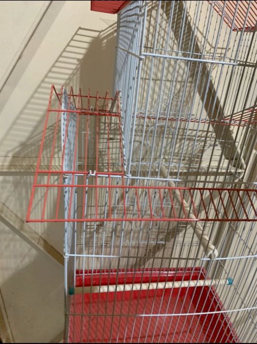 Gaiola para passaros