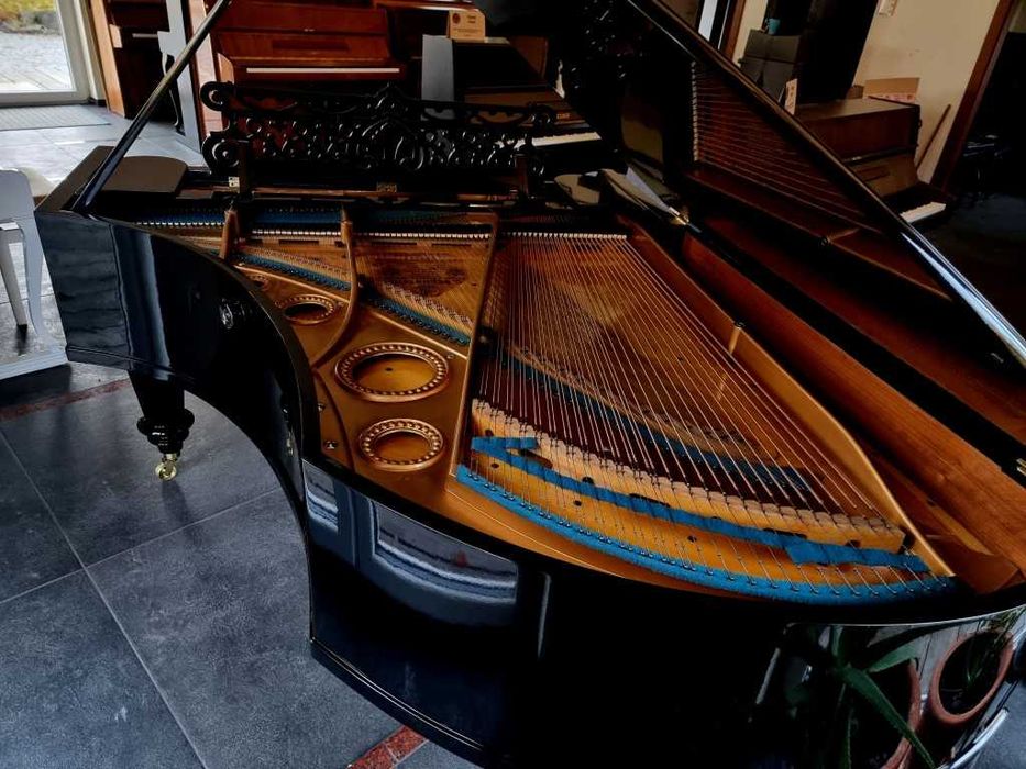Fortepian C. BECHSTEIN dł. 200cm 1894r piękny CZARNY POŁYSK