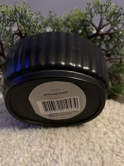 Drzewko bonsai Stefan Jysk