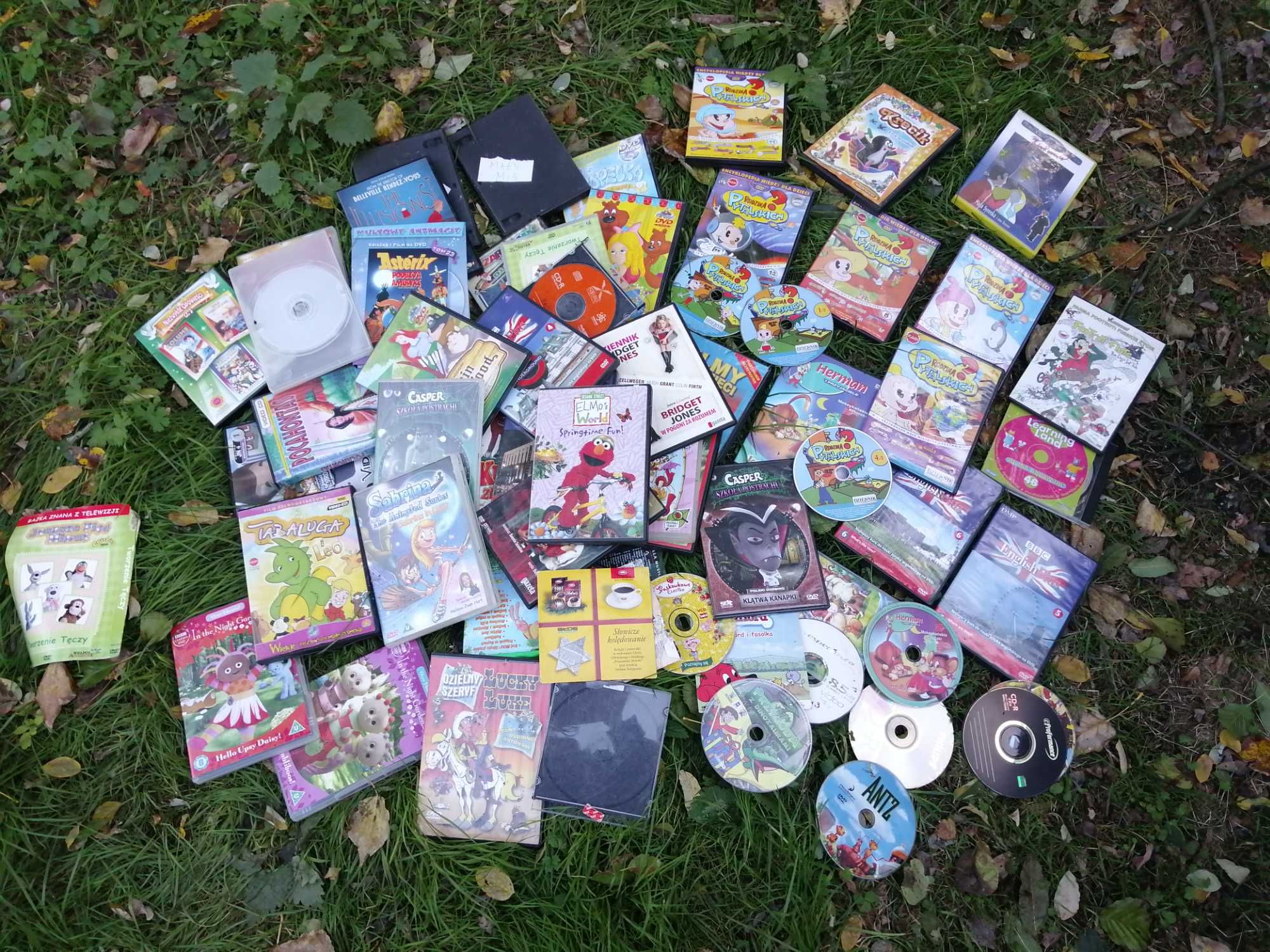 Duży zestaw płyt Dvd bajki Pytalscy 60 Miś Shrek dla dzieci