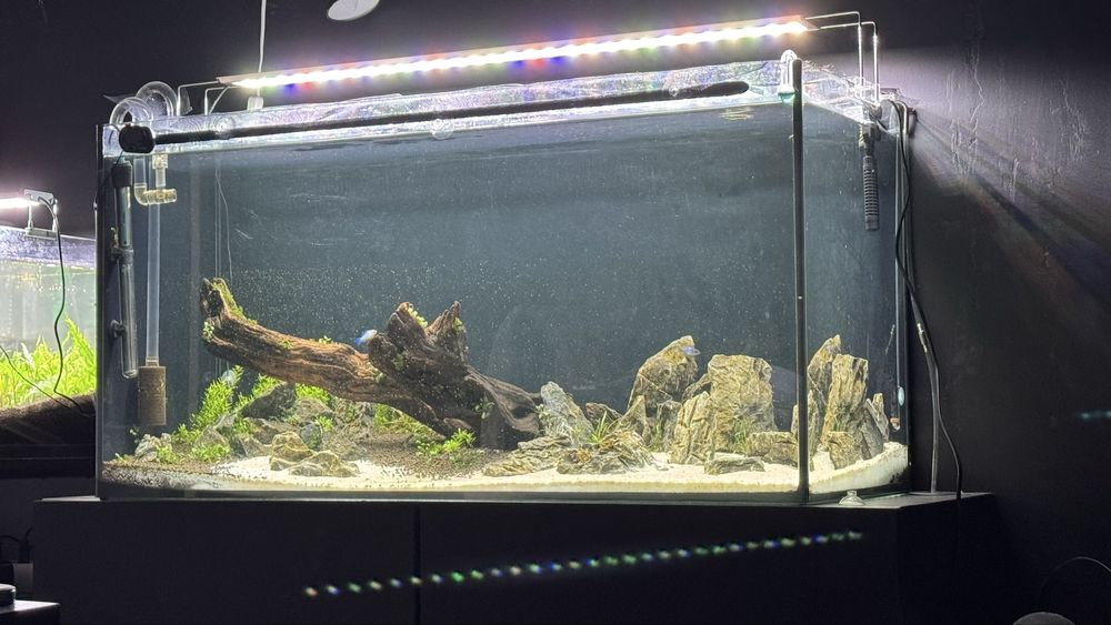 Aquario complet 200lt c/tampa Aquantlantis 100x40x50