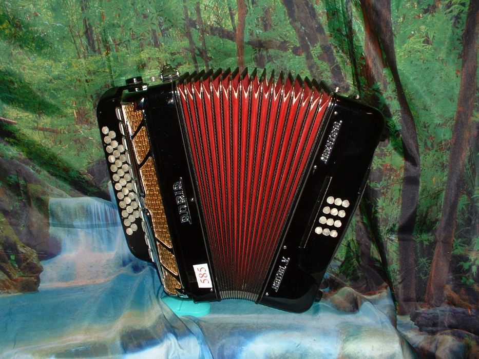 Concertina Para Venda n.585