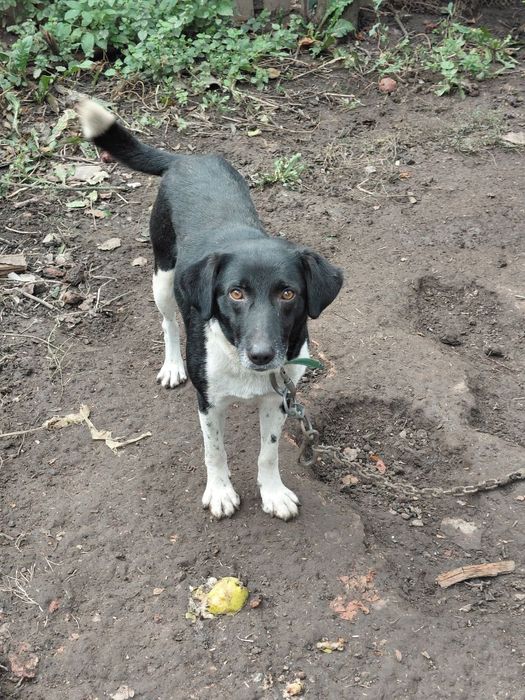 Терміново!Шукає будинок Марс