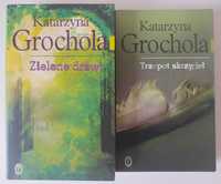 Katarzyna Grochola 2 książki Zielone drzwi, Trzepot skrzydeł