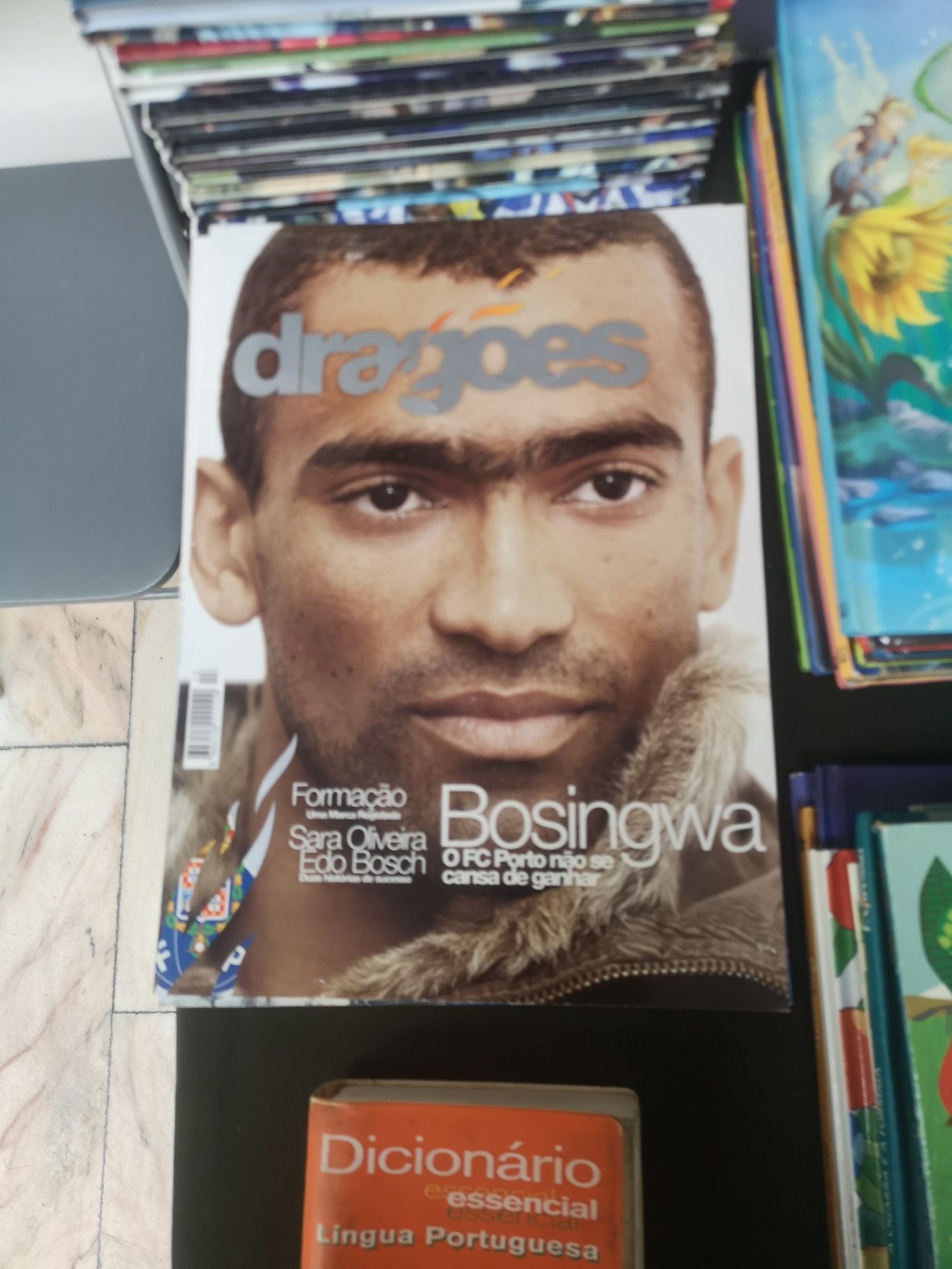 Revistas dos dragões