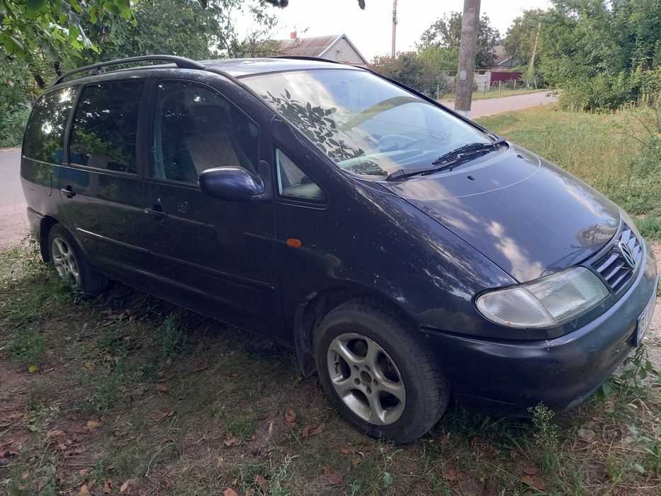 Шаран на ходу вложений не надо