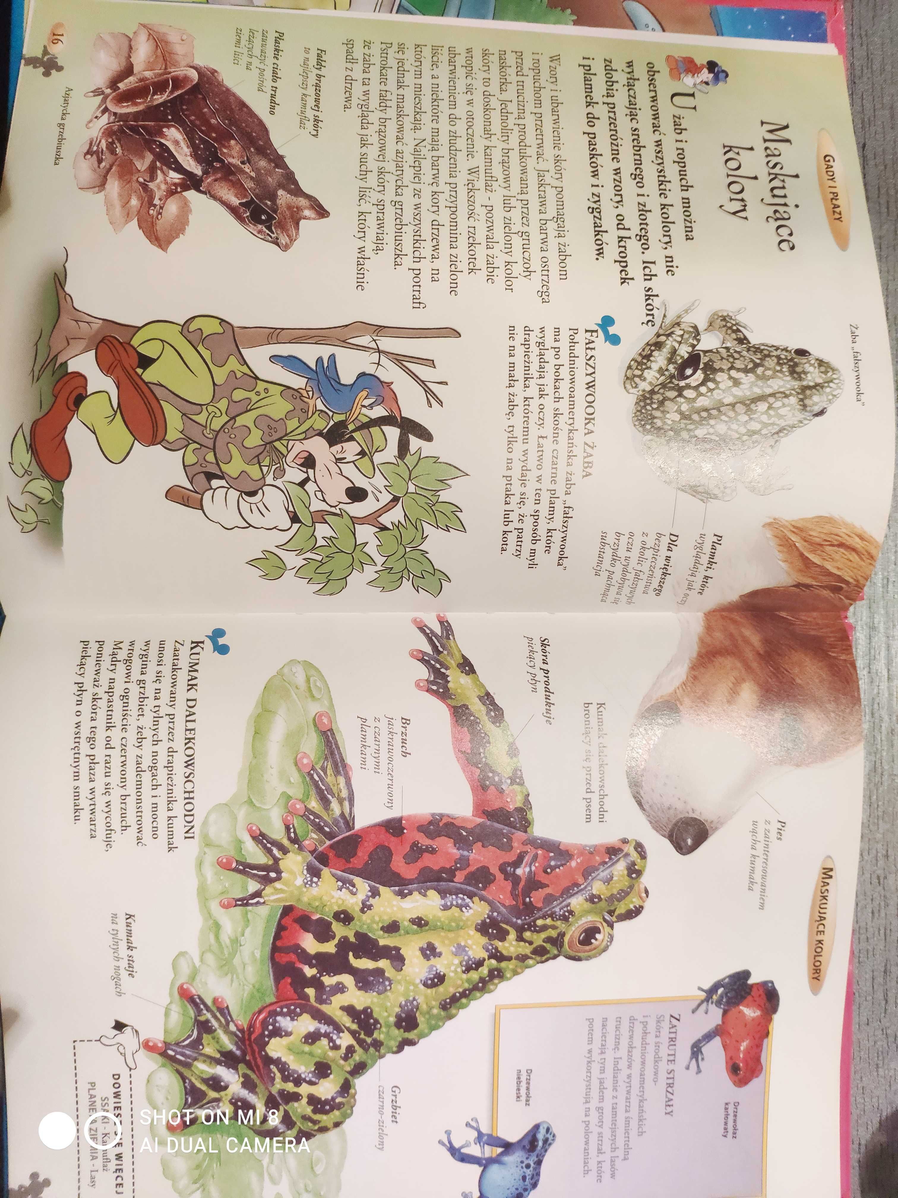 Encyklopedia wiedzy Disney