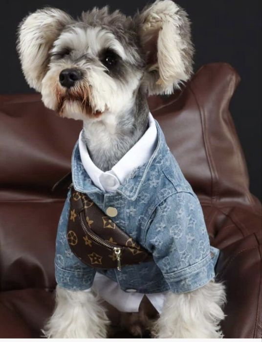 джинсовая курточка для собак Louis Vuitton