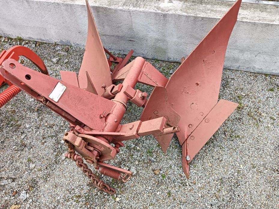 Charrua Ribatejo pequena