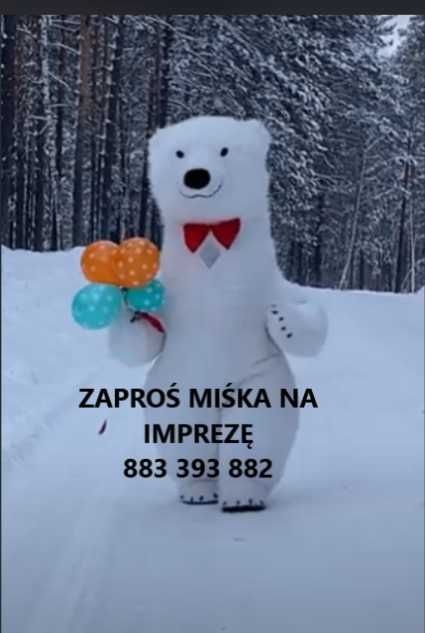 Miś maskotka ,fotobudka ,hel ,wesele, urodziny ,party