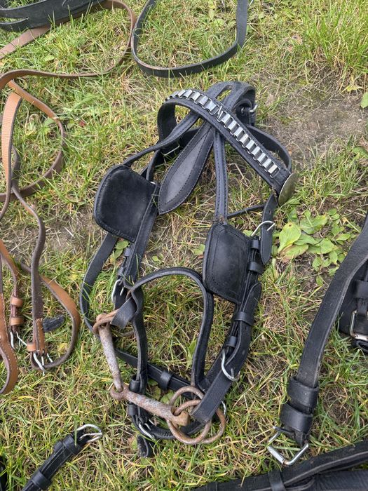 Uprzaz szory dla kucyka