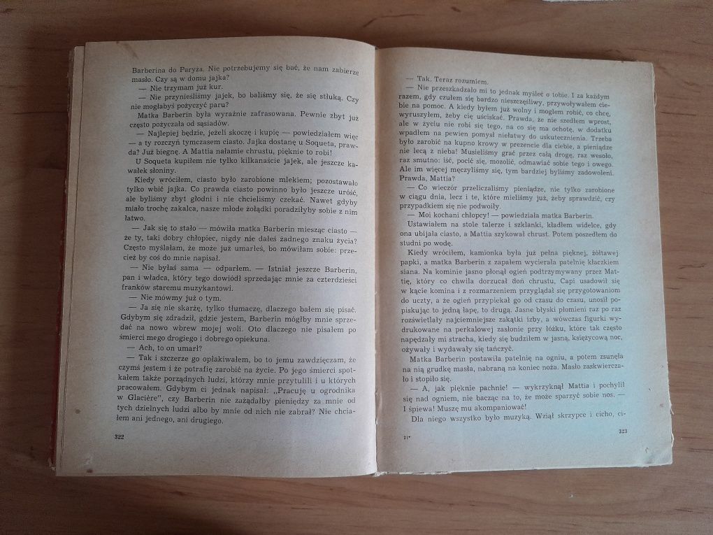 Powieść " Bez rodziny" H.Malot