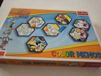 Gra memory color