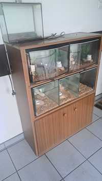 Terrarium 5 albo pojedyncze