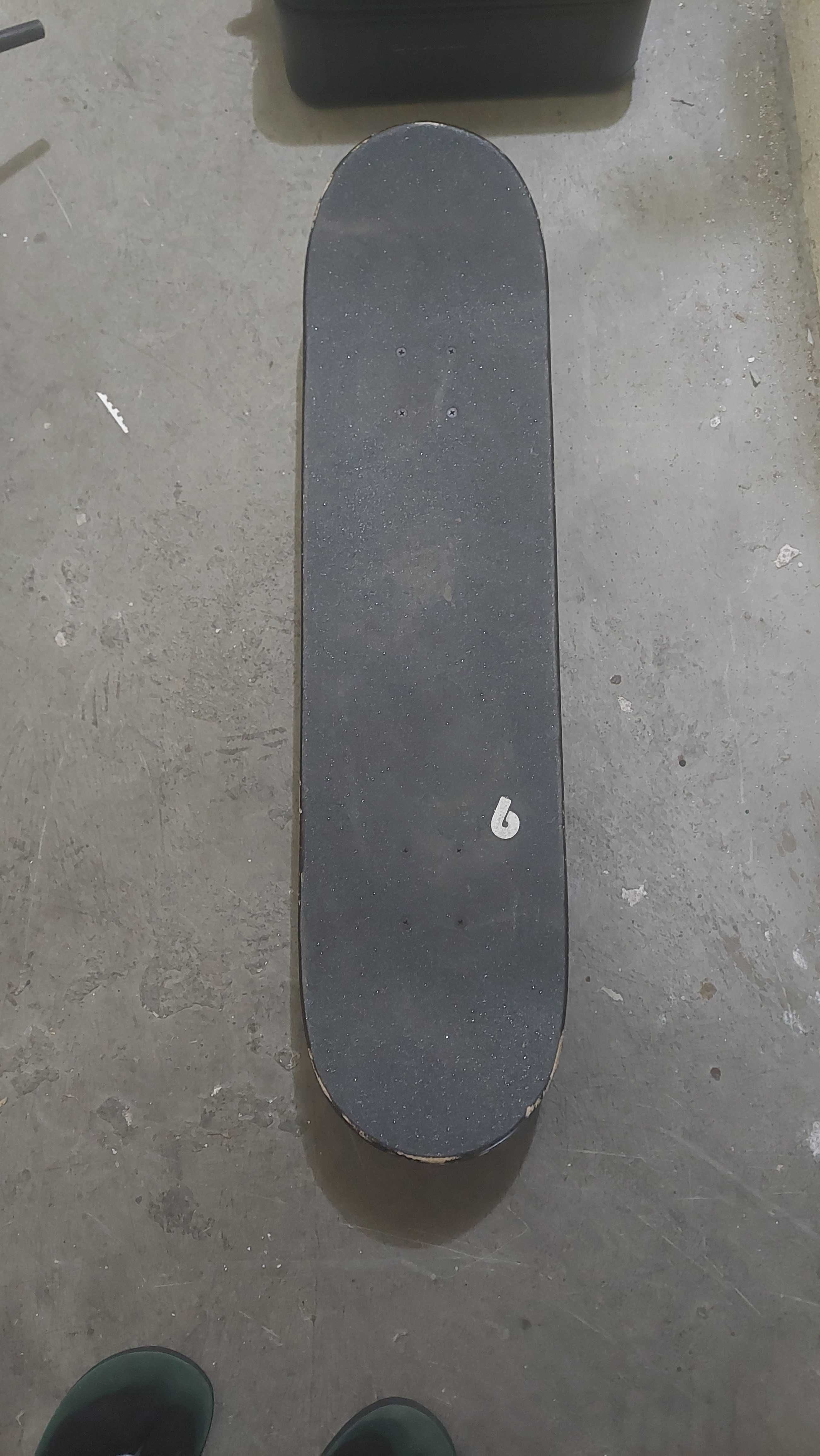 Skate Birdhouse Tony Hawk
