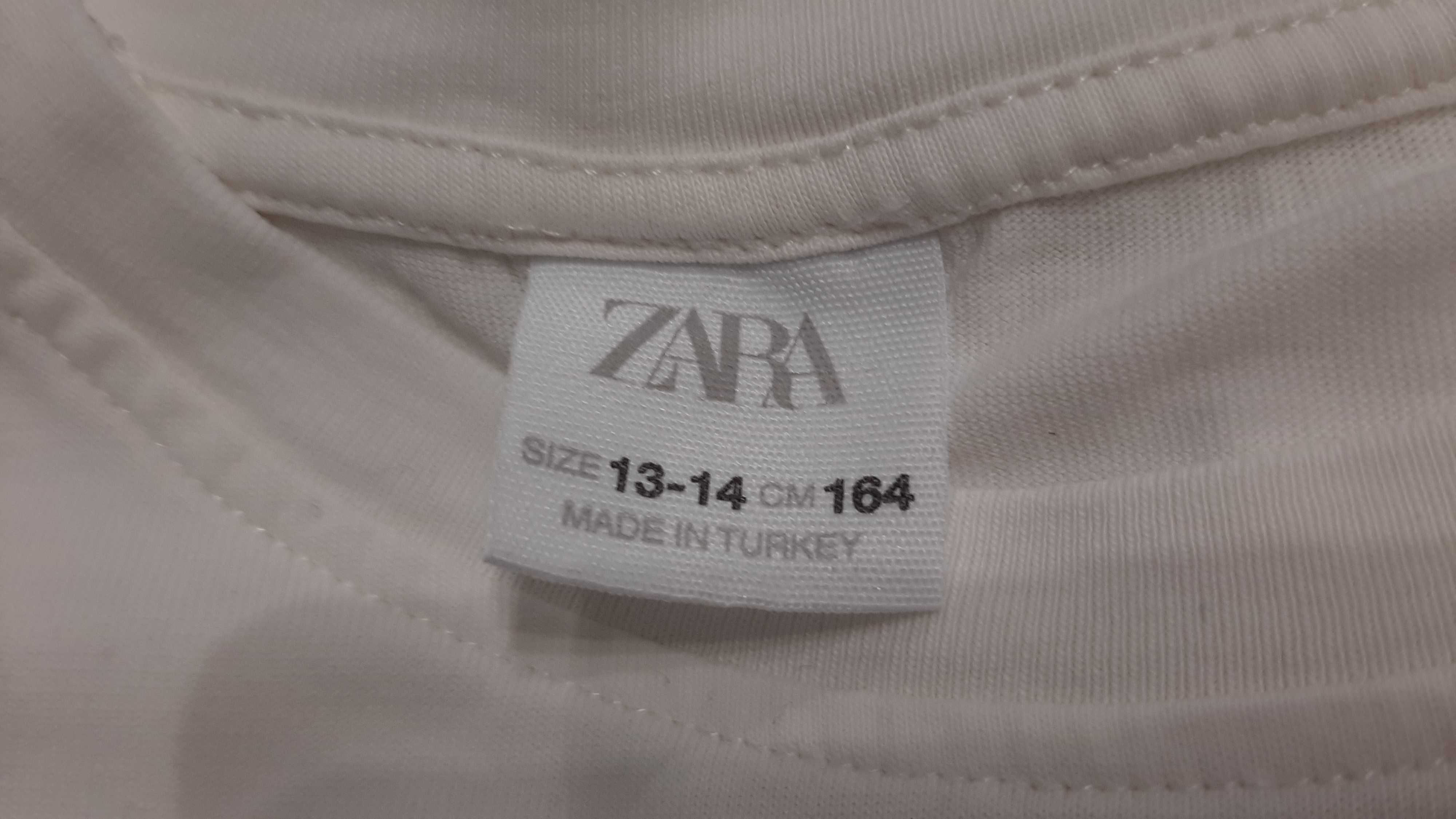 Zara t-shirt 164. 13-14 lat 3szt.