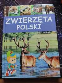 Zwierzęta Polski album dla dzieci