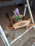 Dois ornamentos.para jardim