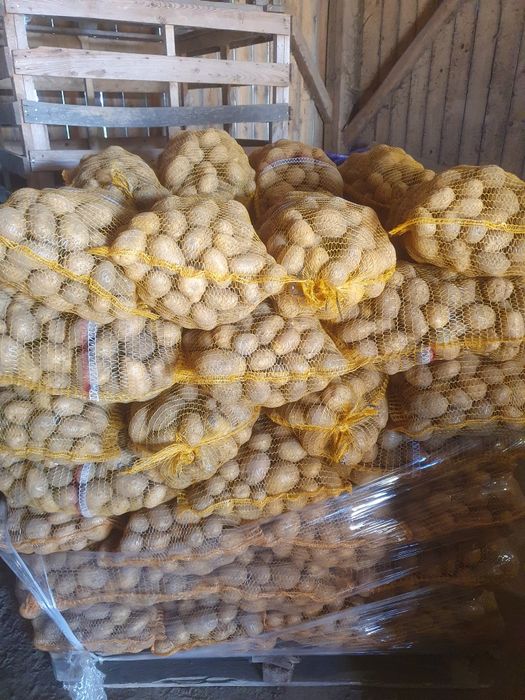 Ziemniaki Soraya Mellody Bellarosa Quinn Anna