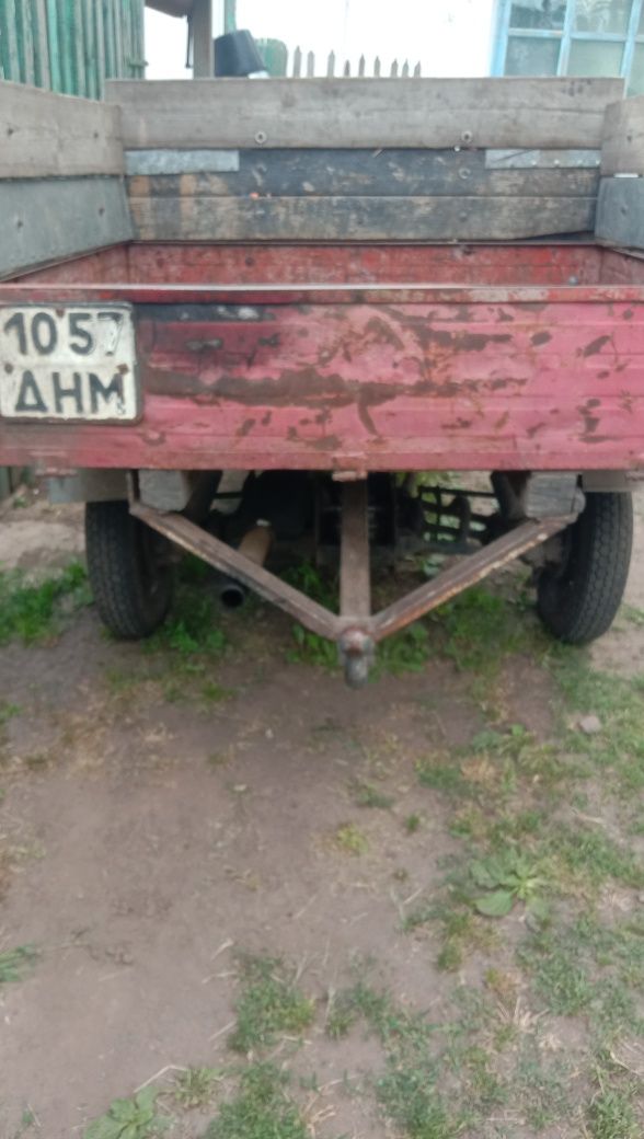 муравей  Муравей м2