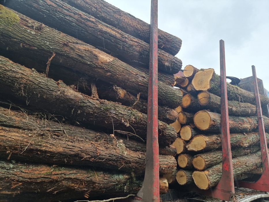 Drewno brzoza, olcha,  dąb, grab,sosna...