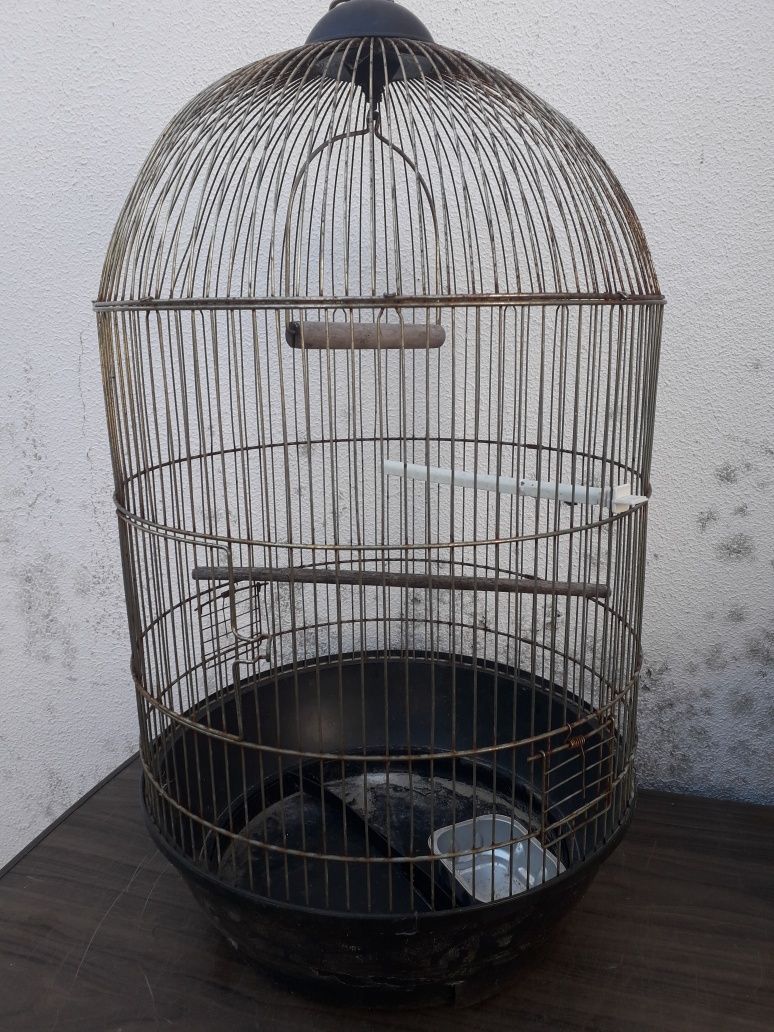 Gaiola para os pássaros