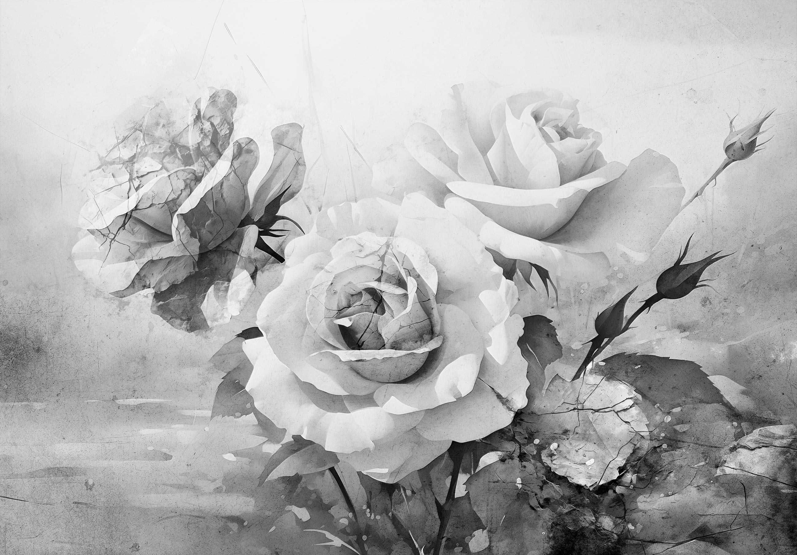 Fototapeta Róże Kwiaty Odcienie Szarości Bieli 3D Twój Rozmiar + KLEJ