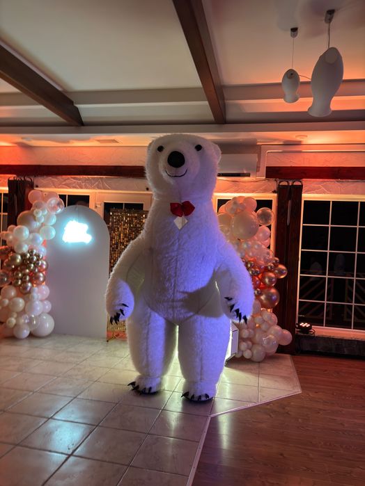 Biały miś Teodor rozkręci twoją imprezę!