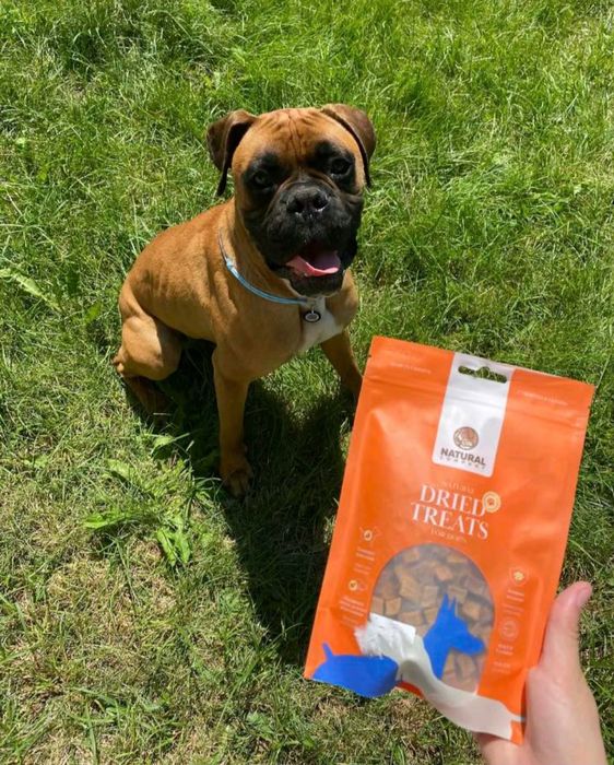 В'язка німецький боксер.