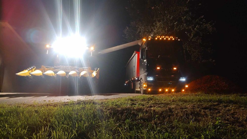 Sprzedam ziarno mokrej kukurydzy - możliwe większe ilości, transport,