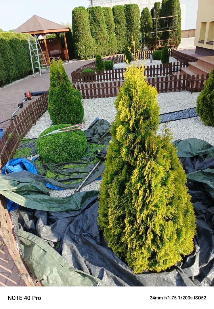 Kompleksowe usługi ogrodnicze tel 692.538.474