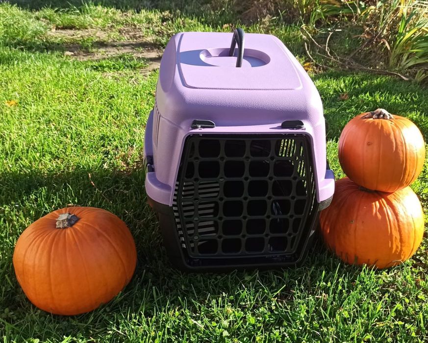 Nowy fioletowy transporter dla kota psa królika świnki morskiej do 15