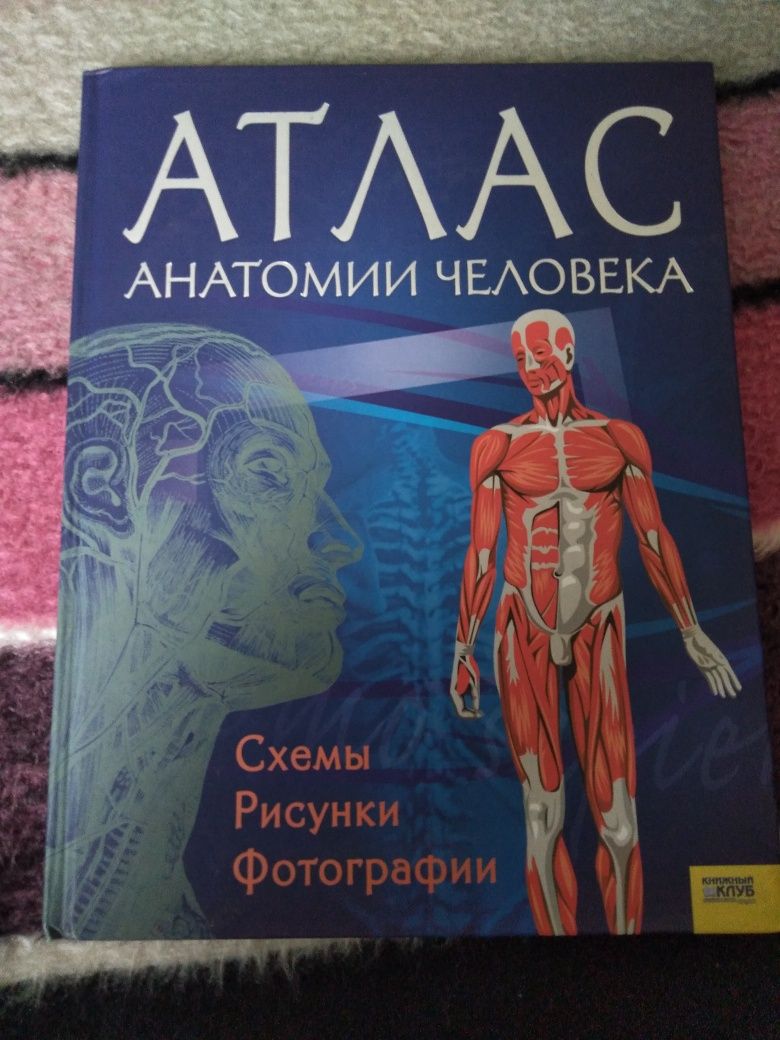 Атлас Анатомия человека и другие образовательные книги .