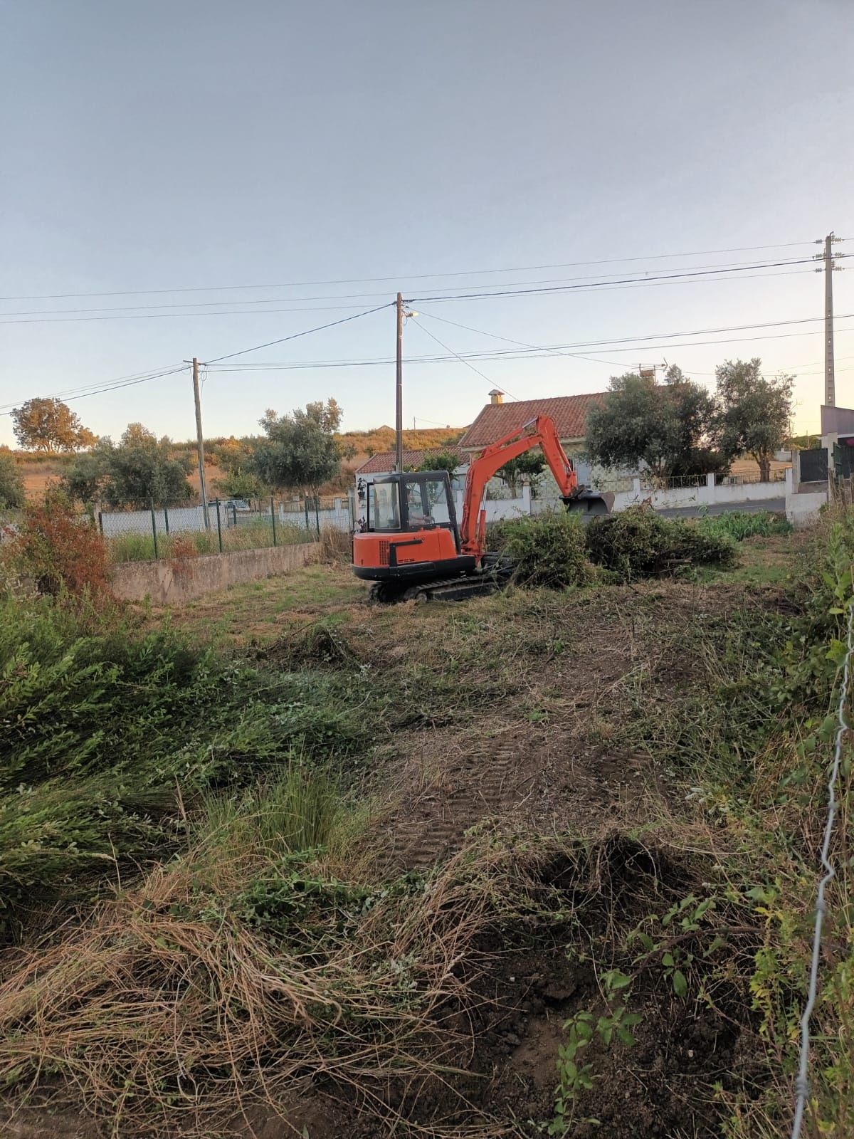 Giratoria kubota kx101