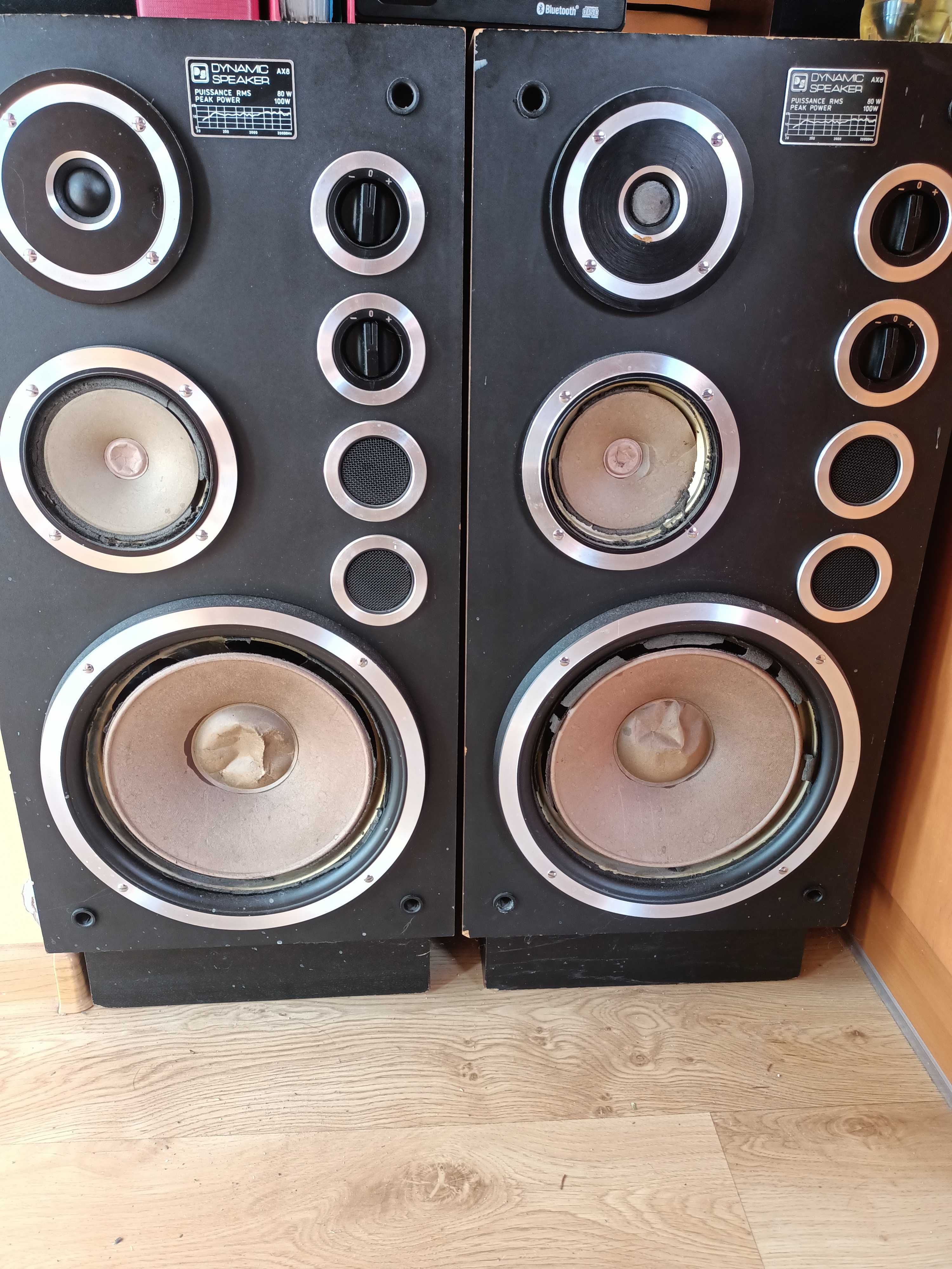 Kolumny głośnikowe Dynamic Speaker AX8