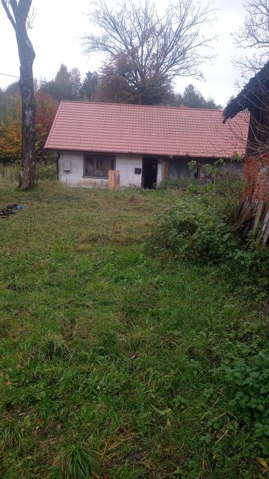 Opróżnianie sprzątanie utylizacja domów mieszkań piwnic strychów rod