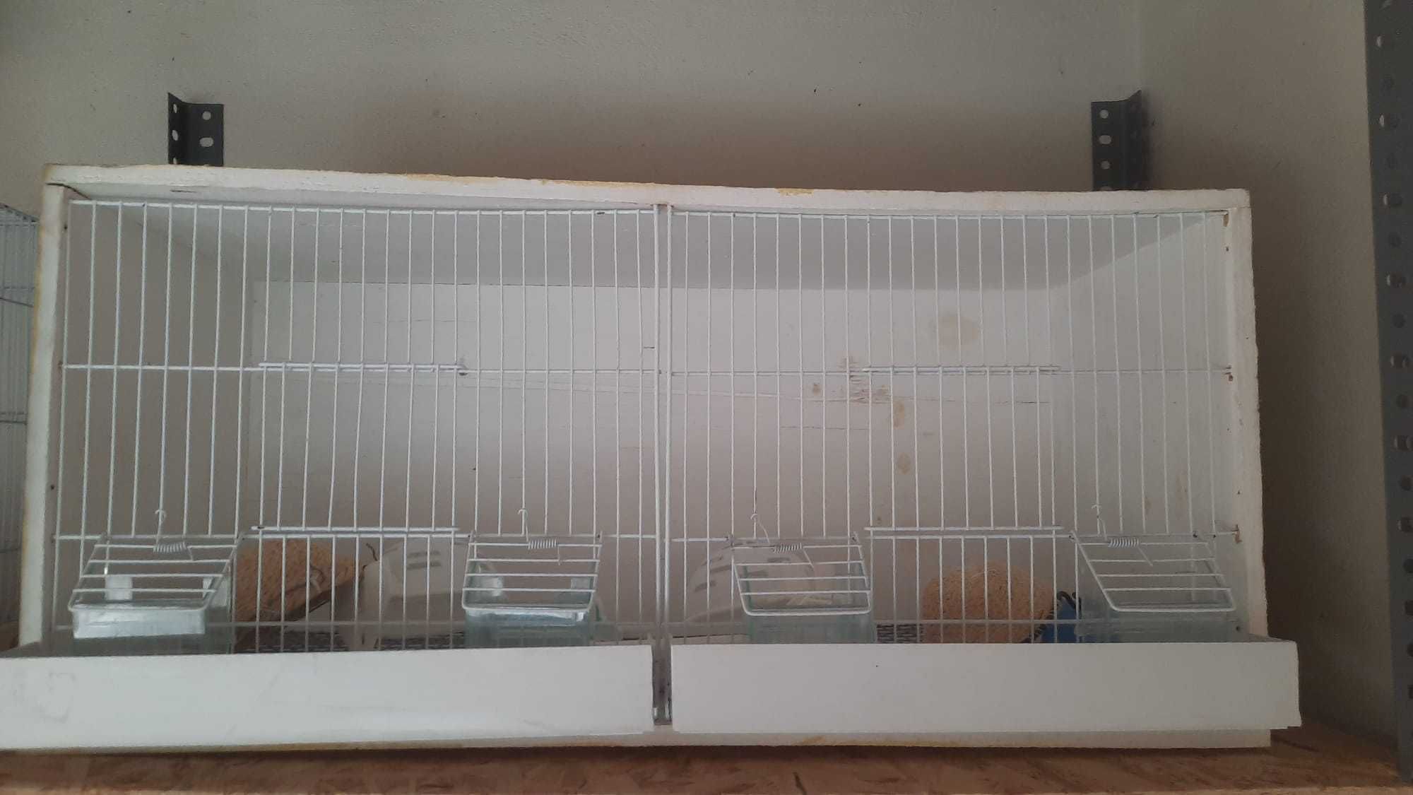 Vendo gaiolas/criação