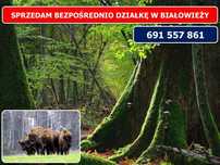 Sprzedam działkę w Białowieży (2268 m² ) ul. Stoczek