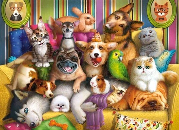 CASTORLAND Puzzle 70 elementów Playful Pets - Zabawne zwierzęta 5+