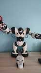 WOWWEE Robosapien Robot