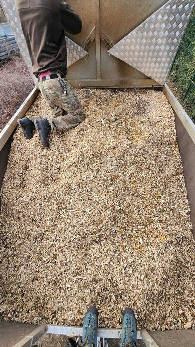 ZRĘBKA ZR3BKIi drzew liściastych i iglastych. Wrocław i okolica