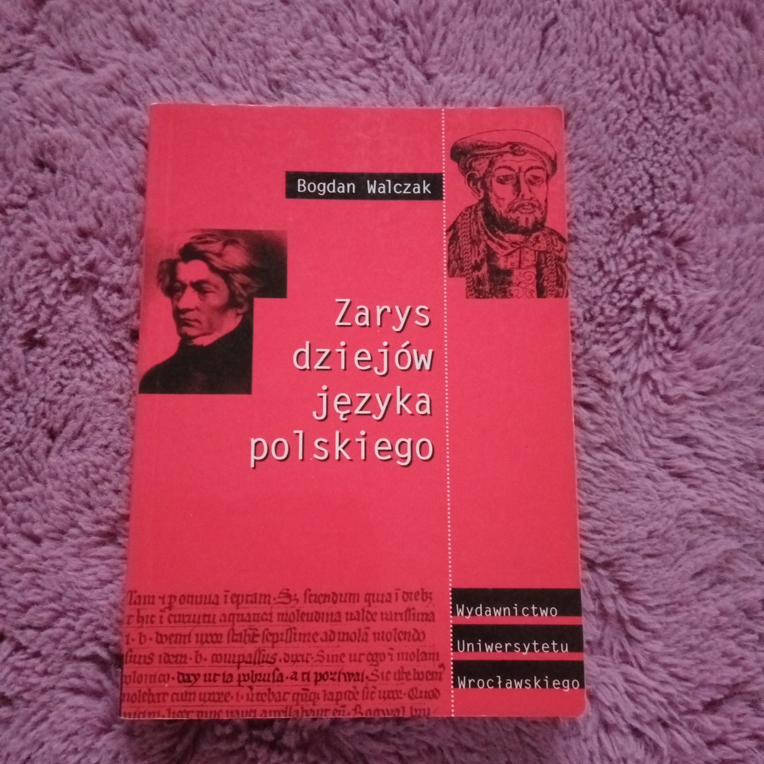 Zarys dziejów języka polskiego Walczak