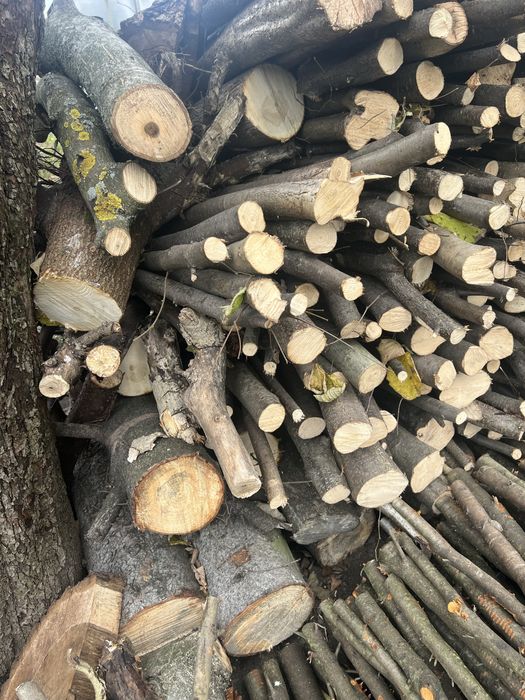 Metrowki Orzech laskowy sliwka drzewo opał kominek wędzarnia